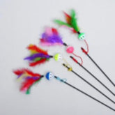 ToatoPets Feather Toy